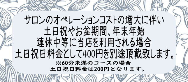 土日祝日料金として税込400円