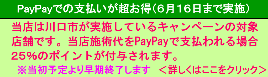 paypayキャンペーン