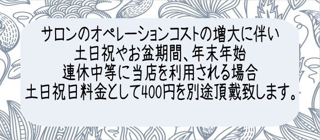 土日祝日料金として税込400円